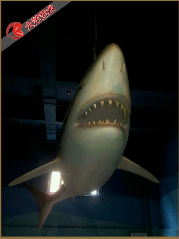 大润发贵宾厅|Home