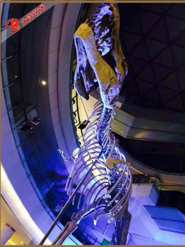 大润发贵宾厅|Home