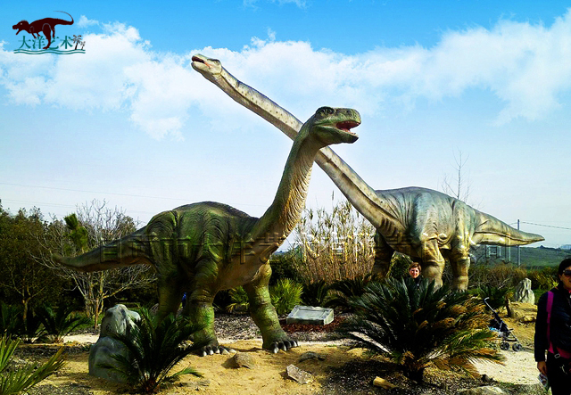 大润发贵宾厅|Home