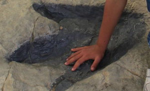 大润发贵宾厅|Home