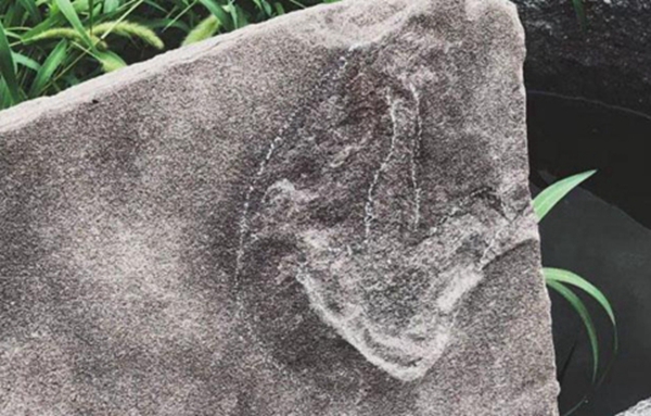 运城避暑山庄及周围寺庙发现250多枚恐龙足迹