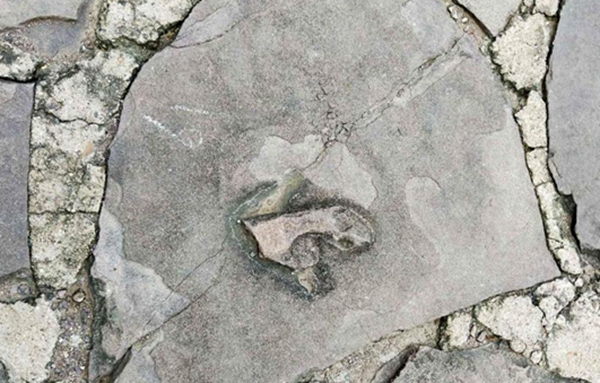 大润发贵宾厅|Home