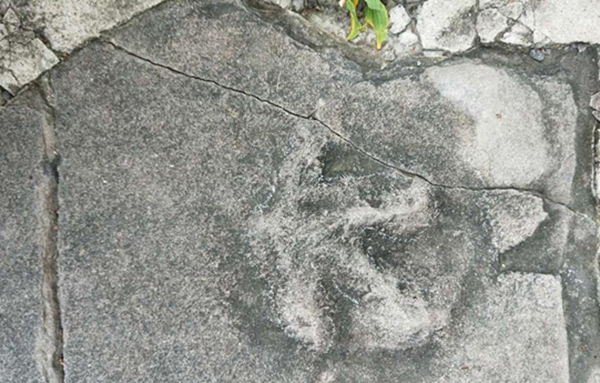 大润发贵宾厅|Home