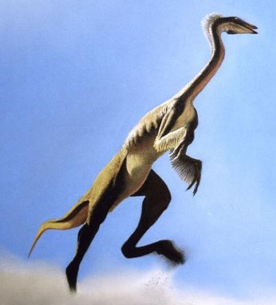 不成不看的5张优美恐龙艺术图