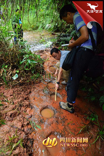 大润发贵宾厅|Home
