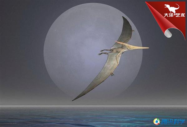 大润发贵宾厅|Home