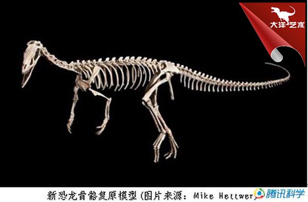 大润发贵宾厅|Home