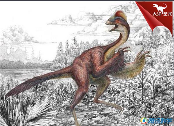 大润发贵宾厅|Home