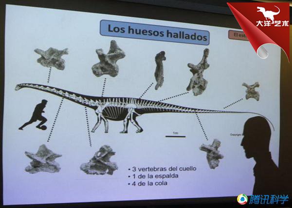 大润发贵宾厅|Home