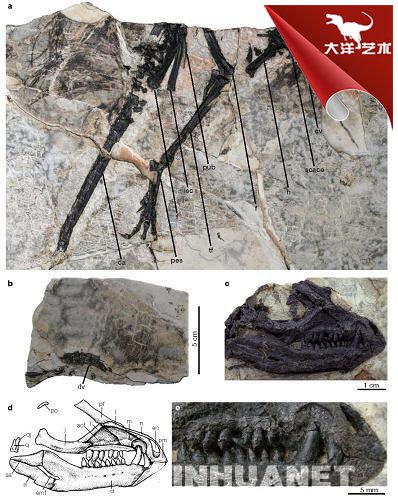 大润发贵宾厅|Home