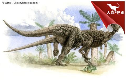 大润发贵宾厅|Home