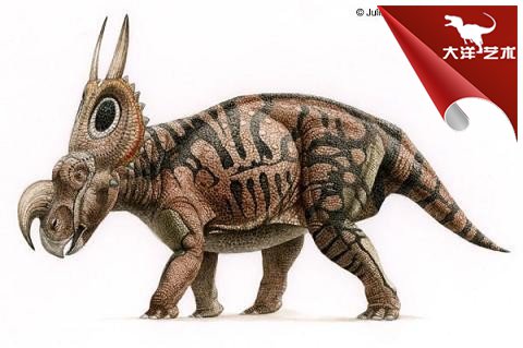 大润发贵宾厅|Home