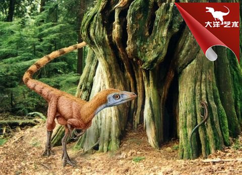 大润发贵宾厅|Home