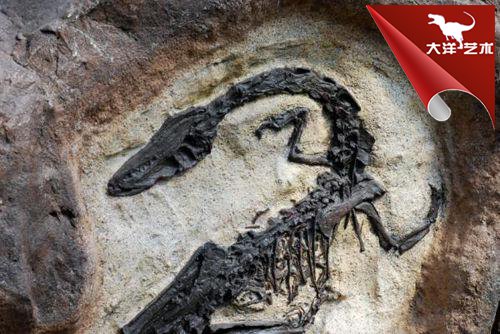 大润发贵宾厅|Home