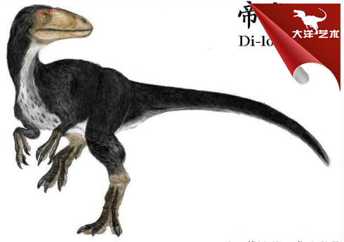 大润发贵宾厅|Home