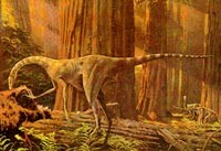 大润发贵宾厅|Home