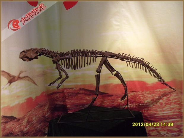 大润发贵宾厅|Home