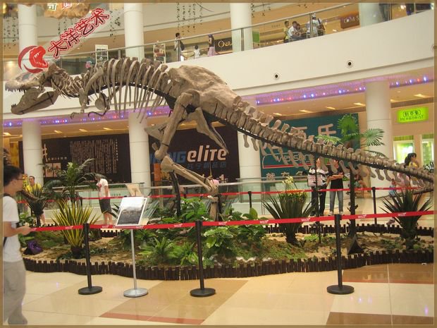 大润发贵宾厅|Home