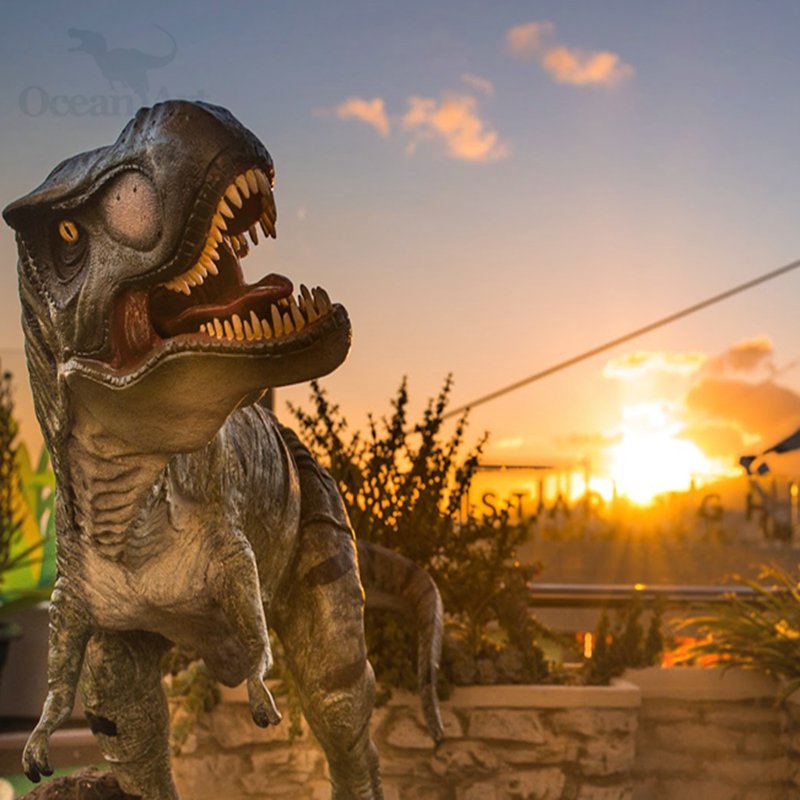 大润发贵宾厅|Home