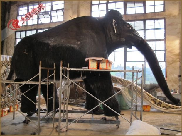 大润发贵宾厅|Home