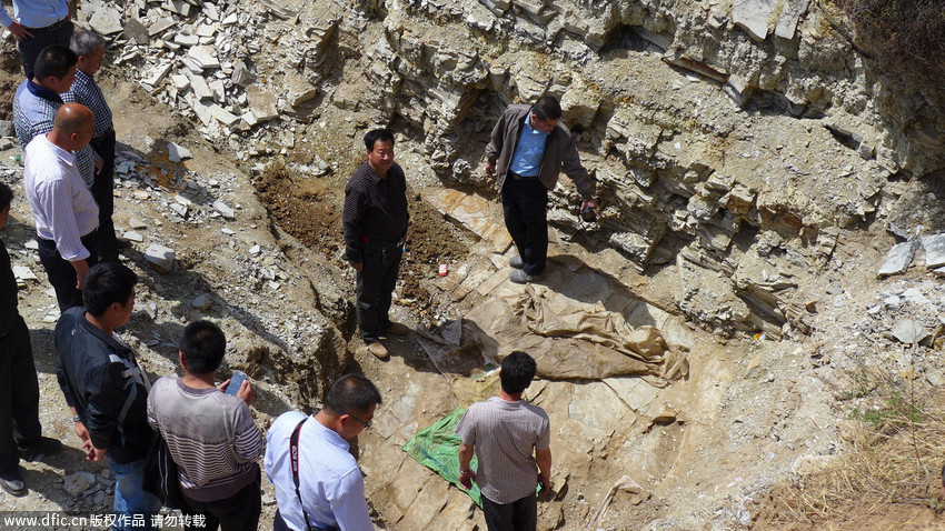 大润发贵宾厅|Home