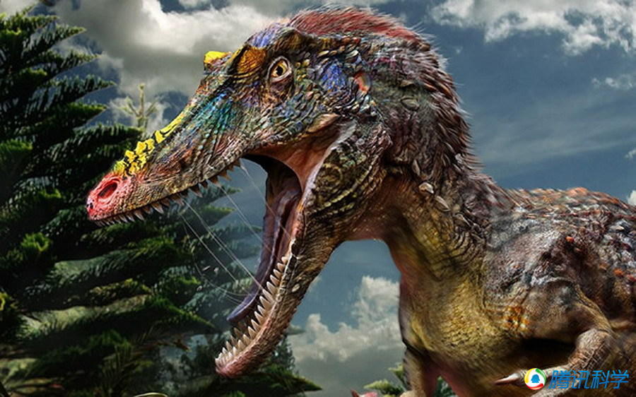 大润发贵宾厅|Home