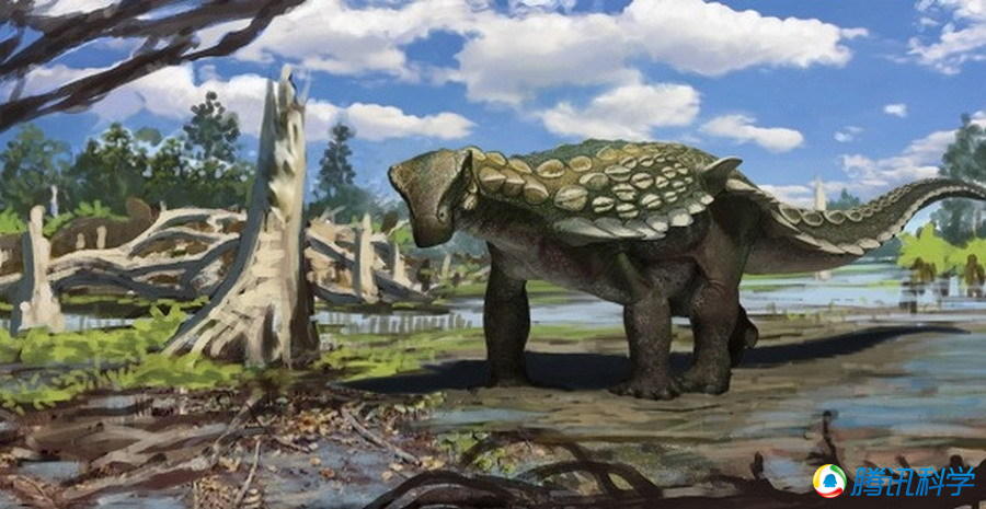 大润发贵宾厅|Home