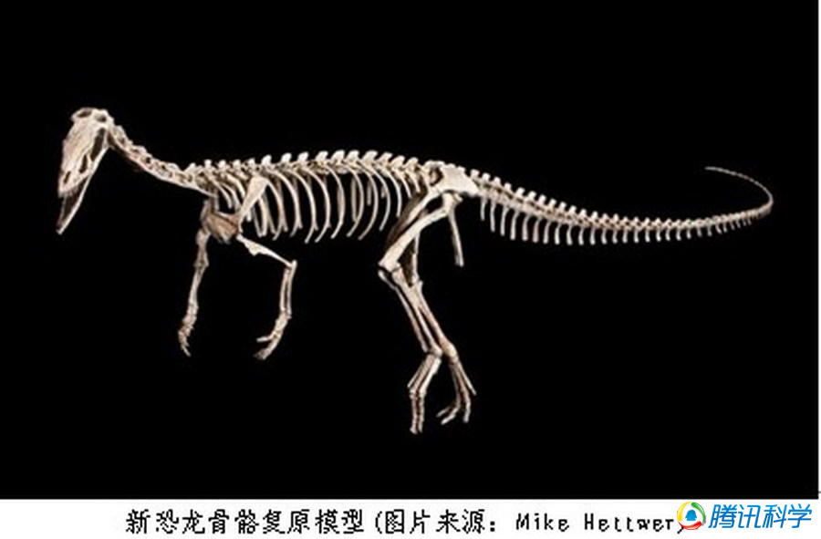 大润发贵宾厅|Home