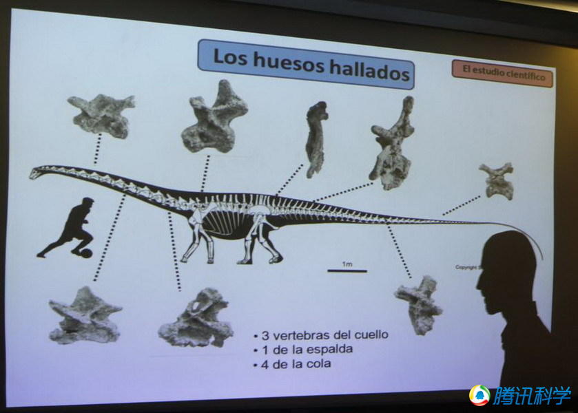 大润发贵宾厅|Home