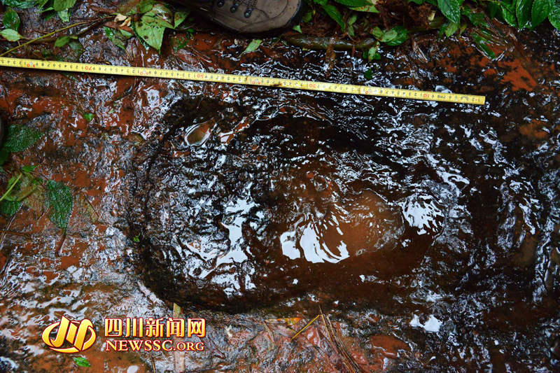 大润发贵宾厅|Home