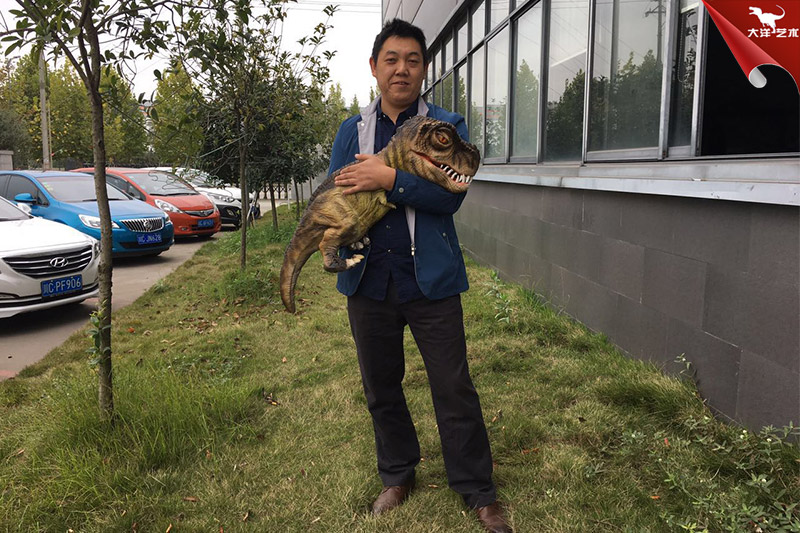 恐龙手偶，抱在手里的恐龙