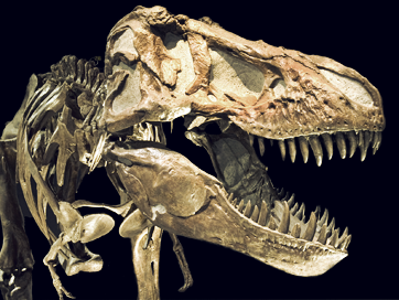 W020181103582653695892