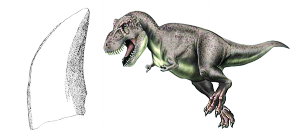 W020181103582654891723