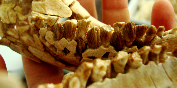 W020181103582655318623