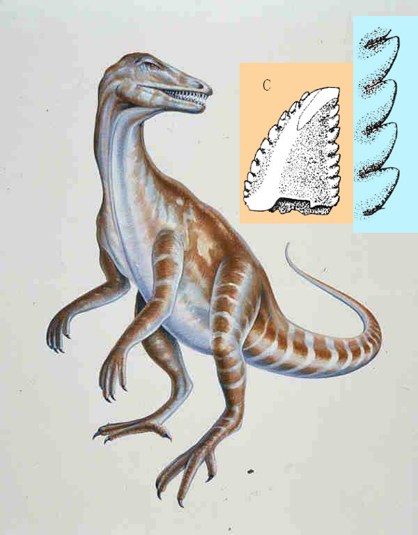 W020181103582654774104