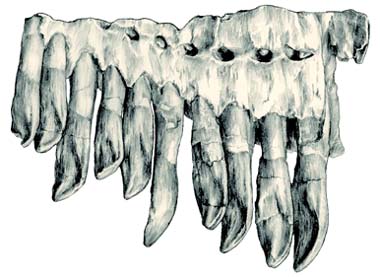 W020181103582654982767