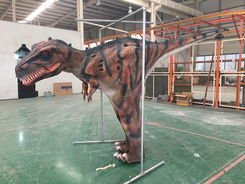 仿真恐龙皮套，客户与皮套互动