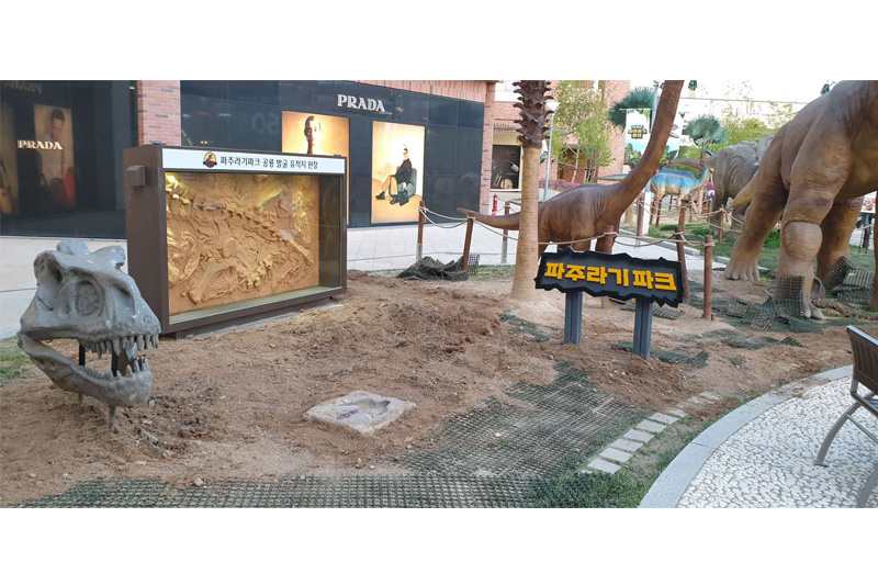 韩国客户自行装置恐龙产品