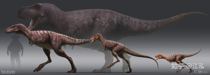 霸王龙毕生分为21个阶段，其中两个阶段最为关键！