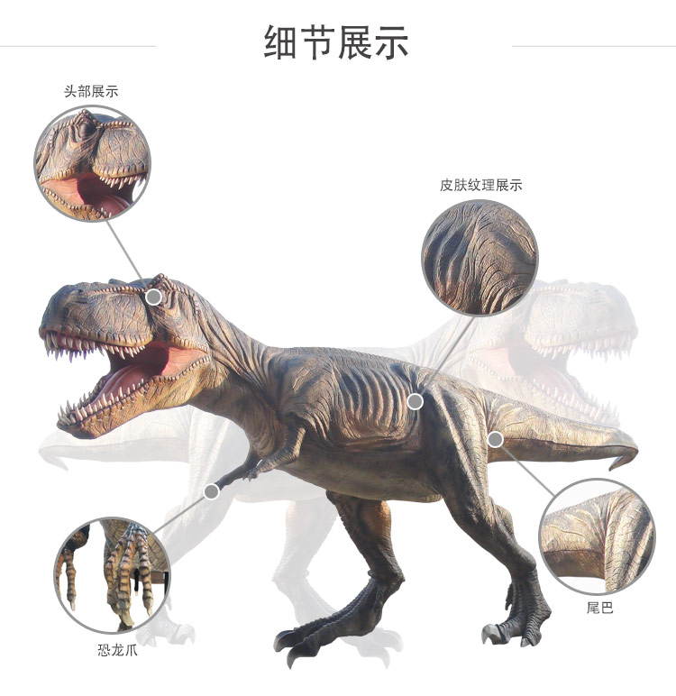 大润发贵宾厅|Home