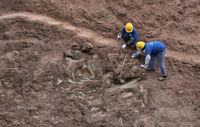 大润发贵宾厅|Home