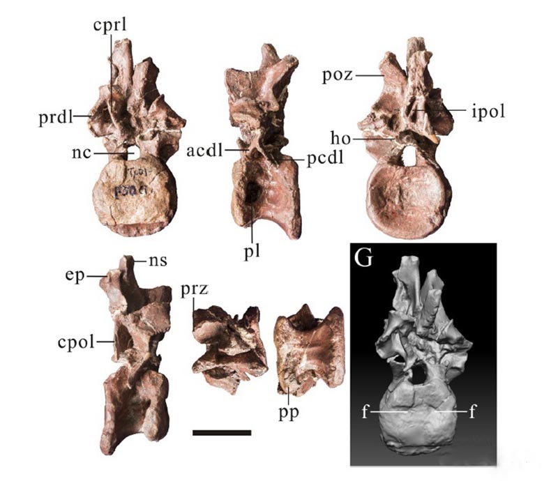 大润发贵宾厅|Home