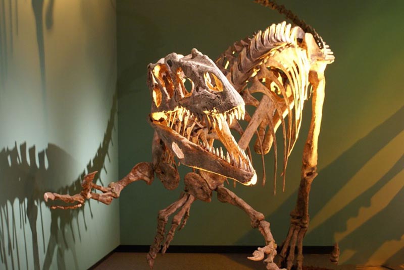 大润发贵宾厅|Home