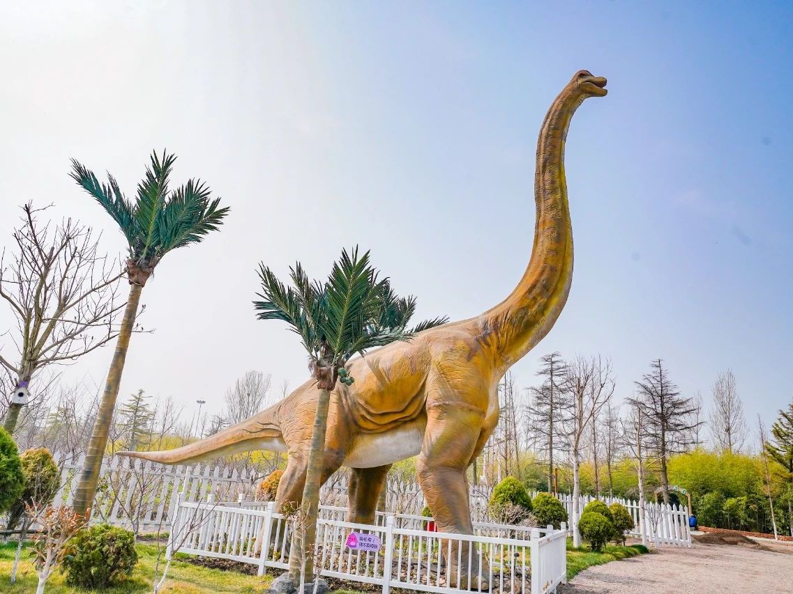 大润发贵宾厅|Home