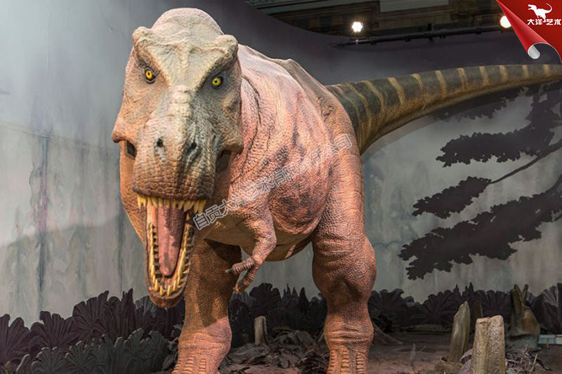 大润发贵宾厅|Home