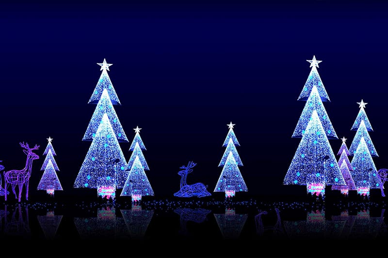 户表景观亮化厂家-自贡大润发贵宾厅彩灯