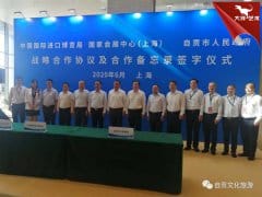 市委书记范波带队赴上海参与“66品进博、游国展、赏灯会”主题活动