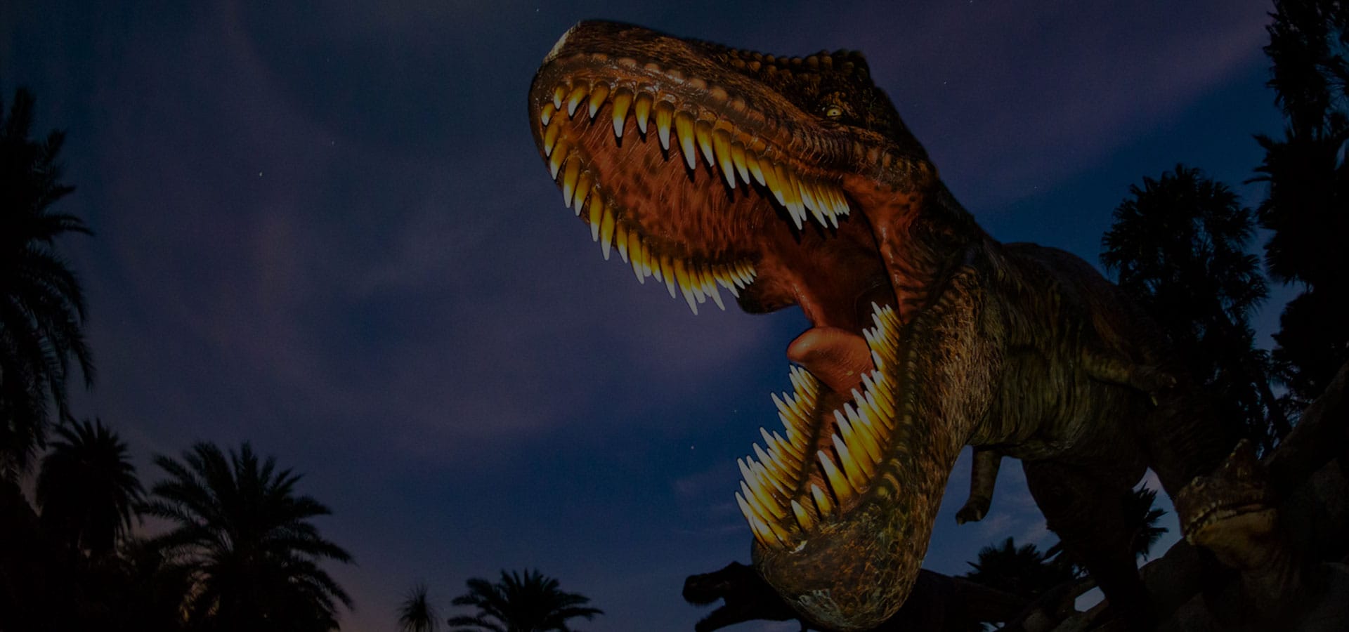 联系大润发贵宾厅-让我们成为真挚的合作同伴