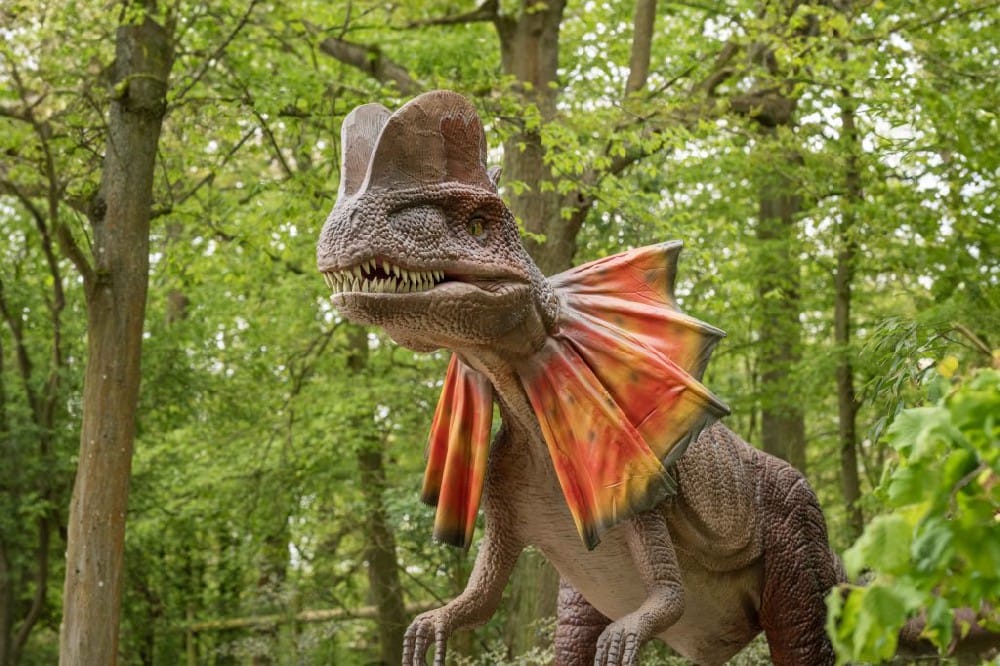 大润发贵宾厅|Home